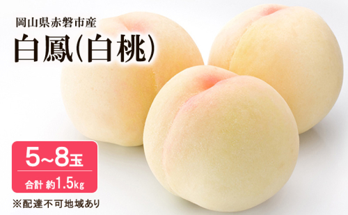 桃 2025年 先行予約 白桃 白鳳 約1.5kg 5~8玉 フルーツ 果物 岡山 赤磐市産 2136855 - 岡山県赤磐市