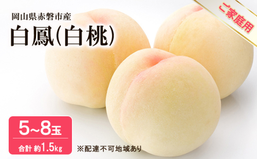 桃 2025年 先行予約 白桃 白鳳 約1.5kg 5~8玉 ご家庭用 フルーツ 果物 岡山 赤磐市産 2136856 - 岡山県赤磐市