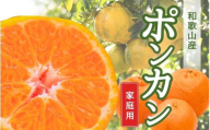 ＜1月より発送＞【先行予約】家庭用ポンカン7.5kg+250g（傷み補償分）【ikd218】