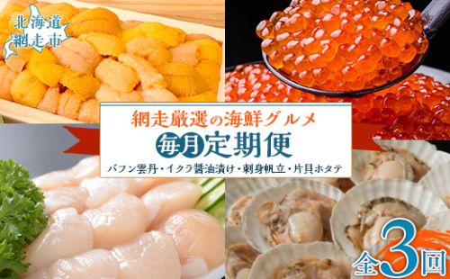 【毎月定期便】網走厳選の海鮮グルメ定期便(バフン雲丹とイクラ醤油漬け・刺身帆立・片貝ホタテ)全3回 ABAO093 2136999 - 北海道網走市