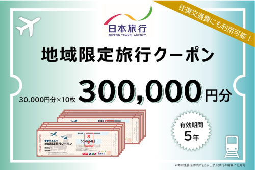 沖縄県南城市　日本旅行　地域限定旅行クーポン300,000円分 2137006 - 沖縄県南城市