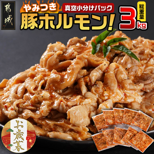 【お歳暮】やみつき豚ホルモン!3kg!真空小分けパック!≪11月17日～12月21日お届け≫_LG8-3303-WG 2137048 - 宮崎県都城市