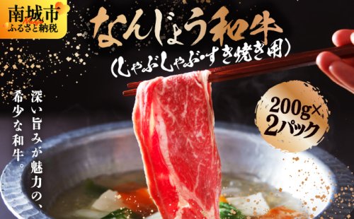 なんじょう和牛しゃぶしゃぶ用 200g×2パック【TM01】 2137049 - 沖縄県南城市
