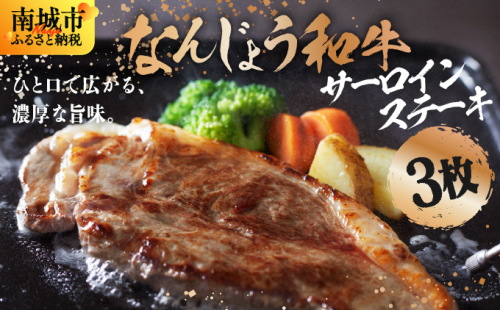 なんじょう和牛サーロインステーキ 約150〜200g×3枚【TM02】 2137050 - 沖縄県南城市
