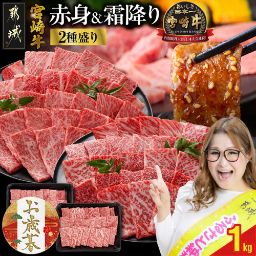 【お歳暮】宮崎牛焼肉2種セット500g×2パック≪11月17日～12月21日お届け≫_17-N202-WG 2137059 - 宮崎県都城市