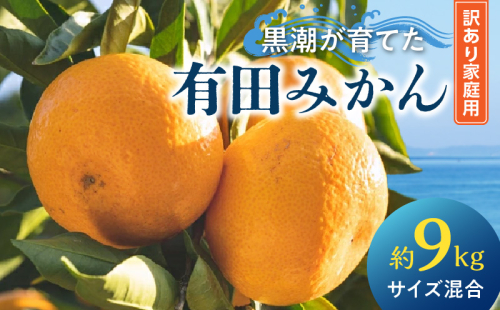 AE6111_黒潮が育てた有田みかん約9kg（サイズ混合）(訳あり　家庭用） 2137219 - 和歌山県湯浅町