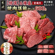 [お歳暮]≪希少部位ヒレ入り!≫ 宮崎牛[特選]6種盛 焼肉堪能セット 600g≪11月17日〜12月21日お届け≫_24-6502-WG