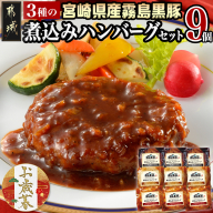【お歳暮】霧島黒豚 3種の煮込みハンバーグギフト (デミグラスソース仕立て・和風おろしソース仕立て・大人の照焼きソース仕立て)≪11月17日～12月21日お届け≫_AA-2804-WG