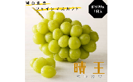yy-36　シャインマスカット 晴王 秀品 約600g 1房 岡山県産 ぶどう御中元 ギフト 御礼 プレゼント 御礼 御祝 御供 果物 くだもの フルーツ