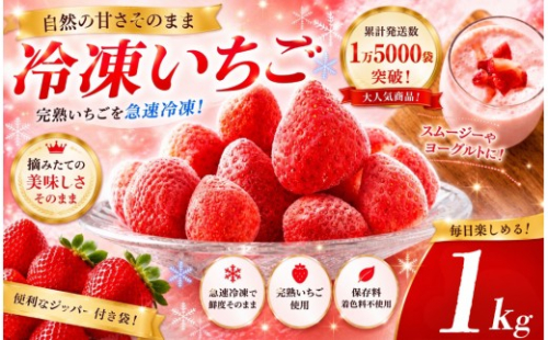 冷凍 いちご 紅ほっぺ 恋みのり こだわり いちご フローズン 冷凍 イチゴ strawberry 苺 新鮮 朝摘み 朝採り 産直 産地直送 安心安全 ichigo itigo いちご 苺 果物 フルーツ くだもの ギフト プレゼント 贈物 贈答 ケーキ ジャム  ふるさと納税 ふるさと納税苺 いちご 静岡県 南伊豆町 baby berry farm　<A-1>