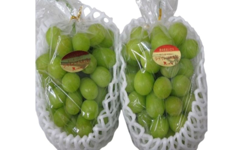 食卓応援品 瀬戸内のシャインマスカット 2房(約1.4kg) 2137701 - 香川県東かがわ市
