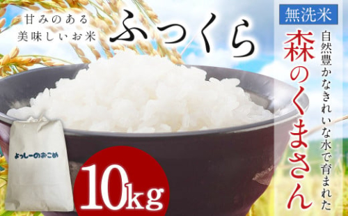 令和7年産 益城町 無洗米 森のくまさん 10kg お米 【2025年11月上旬より順次発送予定】 2137736 - 熊本県益城町