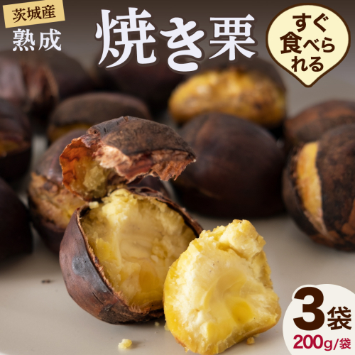 【 吉原農場 の 完熟栗 】 熟成 焼き栗 3袋  ( 200g × 3袋 ) R7年産 完熟 栗 くり クリ 栗ごはん 贈答 ギフト 果物 フルーツ 数量限定 旬 秋 冬 正月 おせち [CX020ci] 2137791 - 茨城県筑西市