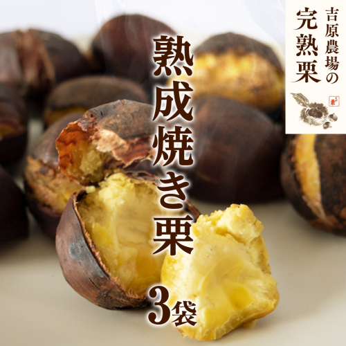 【 吉原農場 の 完熟栗 】 熟成 焼き栗 3袋  ( 200g × 3袋 ) R7年産 完熟 栗 くり クリ 栗ごはん 贈答 ギフト 果物 フルーツ 数量限定 旬 秋 冬 正月 おせち [CX020ci] 2137791 - 茨城県筑西市
