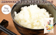 2025年産 楢葉町産ブランド米 楢葉う米 天のつぶ 5kg