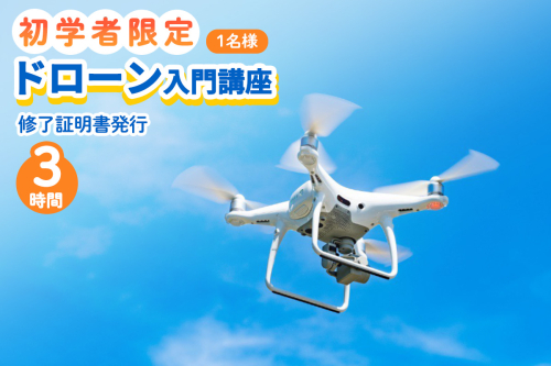 初学者限定 ドローン 入門講座 (修了証明書発行) ｜初めてのドローン 空撮 テクニック ドローンサッカー 国家資格 農薬散布 初歩 初学者 限定 [0271] 2137963 - 宮城県富谷市