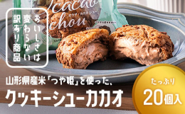 山形県産米「つや姫」を使い、雄大な山々とかみのやまのすばらしい魅力をクッキーシューで表現しています。ピュラトスが取り組むサステナブルプログラム「カカオ・トレース」(カカオ生産者の栽培技術を支援し、収入