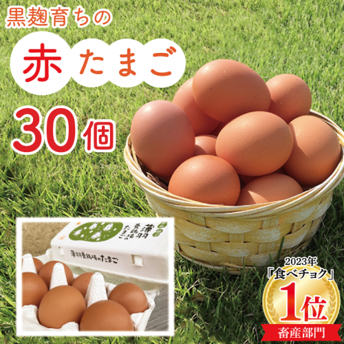黒麹育ちの赤たまご30個 |栃木県 益子町 ふるさと納税 たまご 卵 タマゴ 赤たまご 人気 濃厚 食べチョク (BC007) 2138081 - 栃木県益子町