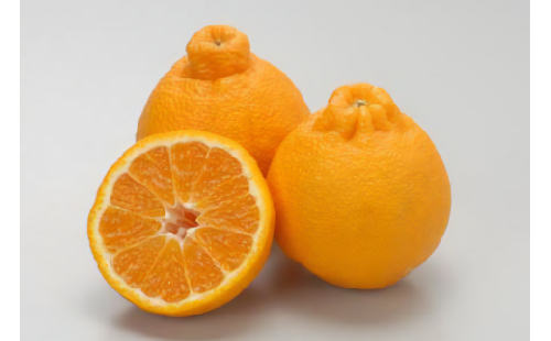 【先行予約】不知火（生果5kg）※離島への配送不可（2026年2月上旬～2月下旬頃に順次発送予定） 【 ふるさと納税 人気 おすすめ ランキング 柑橘 みかん ミカン 不知火 しらぬい mikan 蜜柑 果物 生果 フルーツ デコポン と同品種 愛媛県産 愛媛県 伊方町 送料無料 】 IKTBD011 2138219 - 愛媛県伊方町