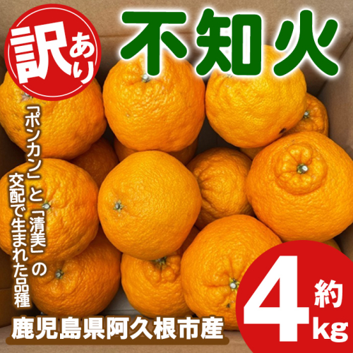 <先行予約受付中!2026年3月上旬以降順次発送予定>訳あり!露地栽培の不知火(4kg) 国産 不知火 しらぬい 柑橘 果物 フルーツ デザート 露地 果実 期間限定 数量限定 【古田果樹園】akn093-03 2138269 - 鹿児島県阿久根市
