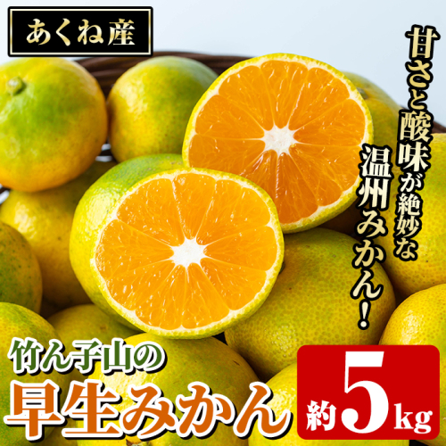 数量限定！竹ん子山の早生みかん(約5kg) 国産 鹿児島県産 阿久根産 ミカン 蜜柑 みかん 柑橘 果物 フルーツ 温州みかん 早生みかん 果実 期間限定 【竹ん子山】akn097-02 2138270 - 鹿児島県阿久根市