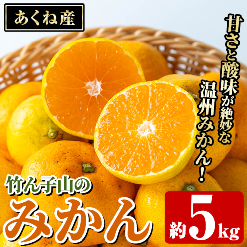 ＜先行予約受付中！2026年11月上旬以降順次発送予定＞数量限定！竹ん子山のみかん(約5kg) 国産 鹿児島県産 阿久根産 ミカン 蜜柑 みかん 柑橘 果物 フルーツ 温州みかん 果実 期間限定 【竹ん子山】akn097-03 2138271 - 鹿児島県阿久根市