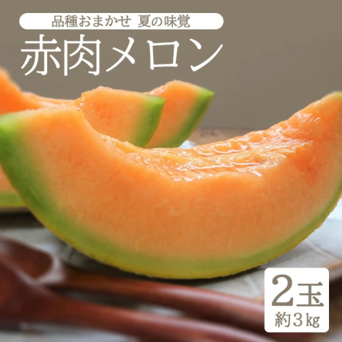SA2625　庄内砂丘 『品種おまかせ赤肉メロン』　約3kg(2玉入) 2138354 - 山形県酒田市