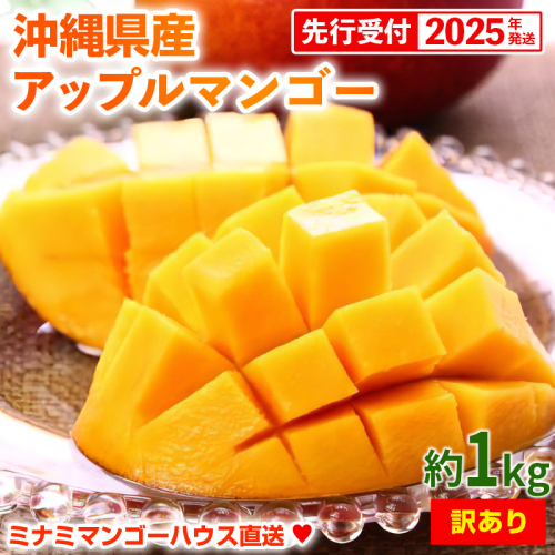 【2025年発送・訳あり】ミナミマンゴーハウスのアップルマンゴー約1kg - 先行 沖縄県産 産地直送 南国フルーツ 旬の味覚 季節の果物 ご自宅用 訳アリ 沖縄マンゴー 沖縄県 八重瀬町 2138400 - 沖縄県八重瀬町