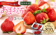 福岡産【春】あまおう3パック いちご フルーツ デザート【2026年2月上旬～3月下旬発送予定】