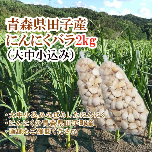 青森県田子産にんにくバラ（訳あり）2kg 2138464 - 青森県田子町