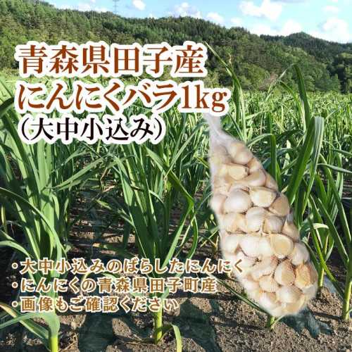 青森県田子産にんにくバラ(訳あり)約1kg 2138465 - 青森県田子町
