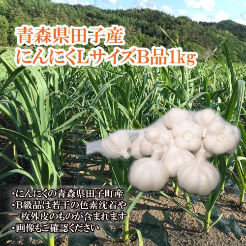 青森県田子産にんにくLサイズB品 約1kg 2138466 - 青森県田子町