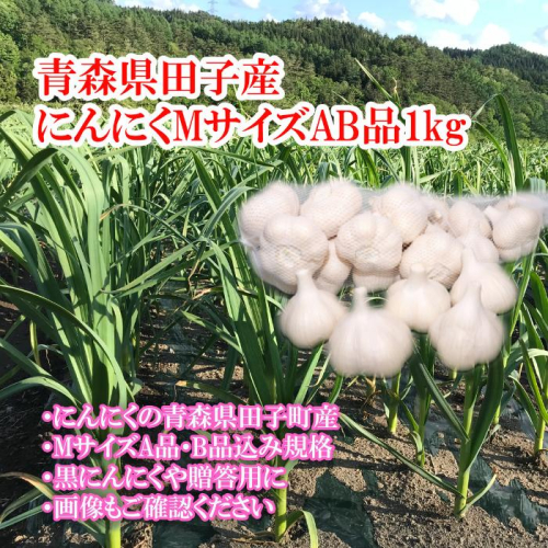 田子産にんにく約1kg(MサイズA~B品) 2138471 - 青森県田子町