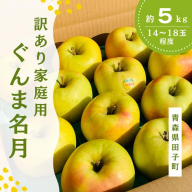 【訳あり】青森りんご田子の家庭用ぐんま名月 約5kg （11月出荷）