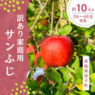 【訳あり】青森りんご田子の家庭用サンふじ 約10kg （12月出荷）