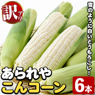 訳あり!白いとうもろこし「あられやこんコーン」(6本) 国産 トウモロコシ 玉蜀黍 ホワイト コーン 野菜 糖度 夏 イネ科 数量限定 期間限定[うとさんち]akn067-14