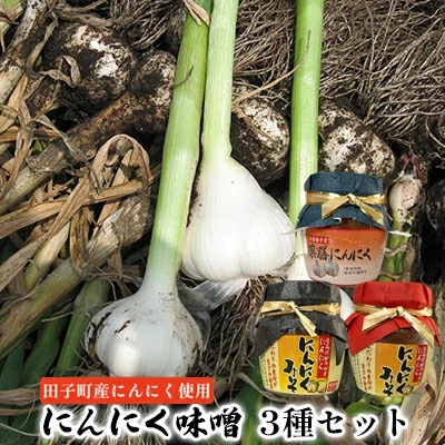 にんにく味噌3種セット【田子町産にんにく使用】 2138504 - 青森県田子町