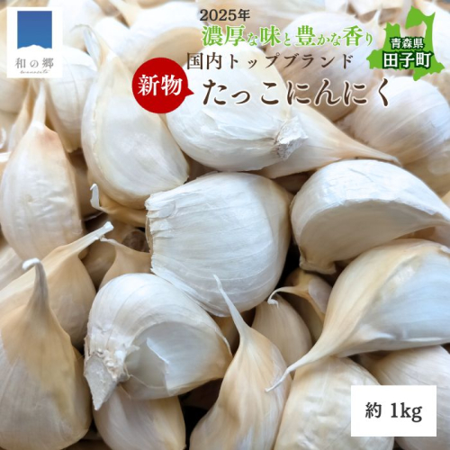 令和7年産新物！田子（たっこ）バラにんにく約1kg（青森県田子町産にんにく中～大粒サイズ混合） 2138546 - 青森県田子町