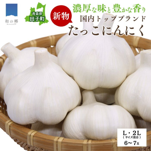 令和7年産新物！日本一ブランドたっこにんにく6～7玉（青森県田子町産にんにくL～2Lサイズ混合） 2138558 - 青森県田子町