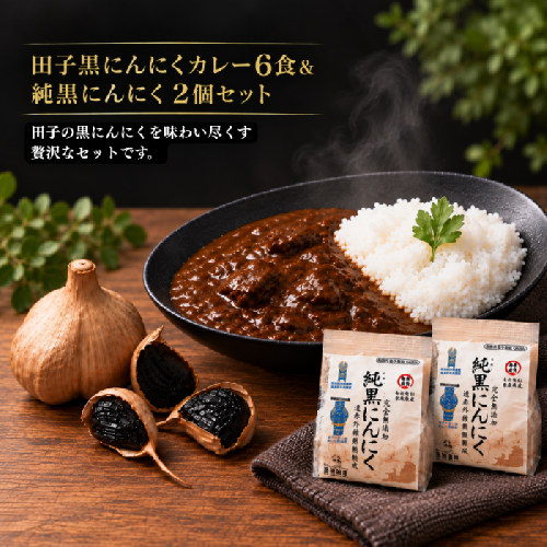 田子黒にんにくカレー6食入　純黒にんにく2個セット 2138567 - 青森県田子町