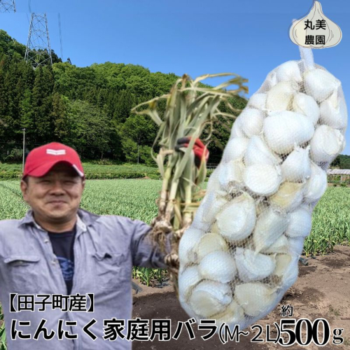 丸美農園 田子町産にんにく家庭用バラ約500g・M~2L 2138612 - 青森県田子町