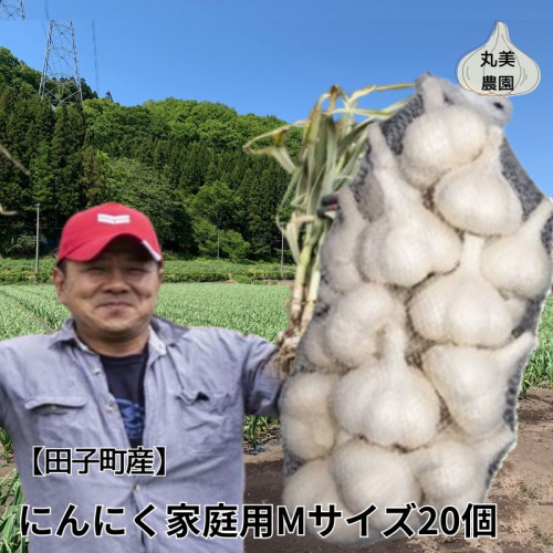 丸美農園 田子産家庭用にんにく(M)20個 2138613 - 青森県田子町