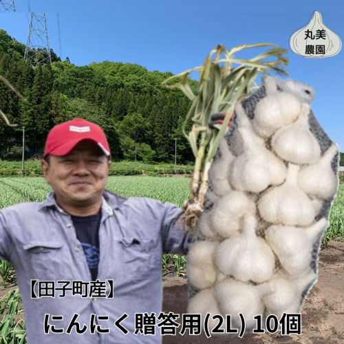 丸美農園 田子産贈答用にんにく(2L)10個 2138614 - 青森県田子町