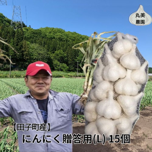 丸美農園 田子産贈答用にんにく(L)15個 2138615 - 青森県田子町