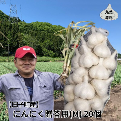 丸美農園 田子産贈答用にんにく(M)20個 2138616 - 青森県田子町