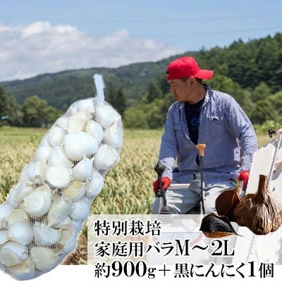 丸美農園 田子産特別栽培にんにく 家庭用バラ（M～2L）約900g＋黒にんにく 1個 2138617 - 青森県田子町