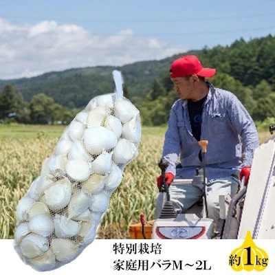 丸美農園 田子産特別栽培にんにく 家庭用バラ(M~2L)約1kg 2138618 - 青森県田子町