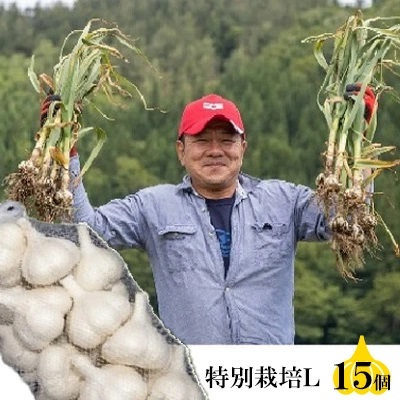 丸美農園 田子産特別栽培にんにく(L)15個 2138619 - 青森県田子町