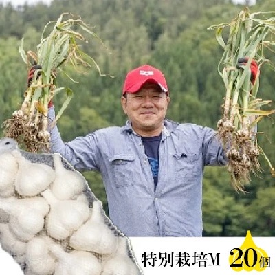丸美農園 田子産特別栽培にんにく(M)20個 2138620 - 青森県田子町