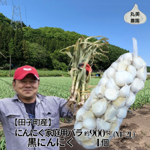 丸美農園 田子産にんにく家庭用バラ 約900g（M～2L）＋黒にんにく 1個 2138621 - 青森県田子町